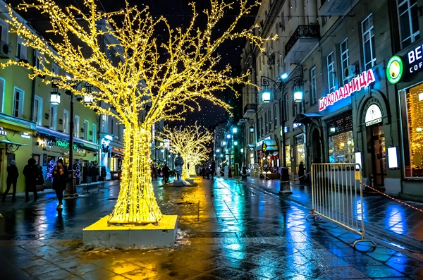 Own a Holiday Lights Decor franchise