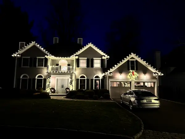 Landscape tree lighting in City of Rye, NY