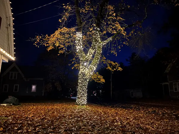 Roofline, bushes and walkway lit in Claremont, NH