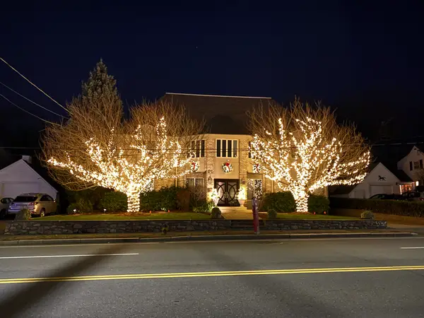 Landscape tree lighting in Waltham, MA