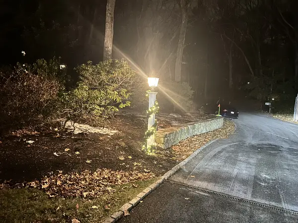 Tree wrapping on a mature tree in Weston, MA