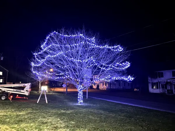 Tree lighting installed by the Holiday Lights Decor network