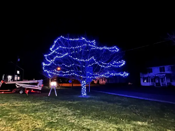 Tree lighting installed by the Holiday Lights Decor network
