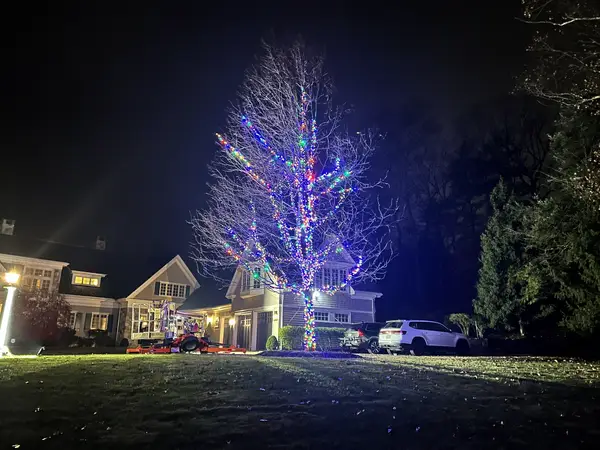 Tree lighting installed by the Holiday Lights Decor network