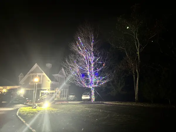 Tree lighting installed by the Holiday Lights Decor network