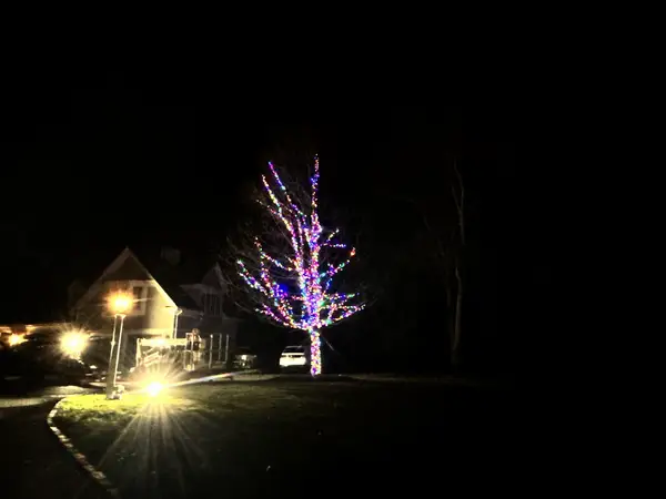 Tree lighting installed by the Holiday Lights Decor network