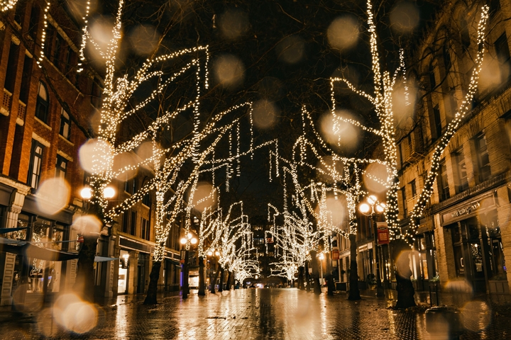 The Fascinating History of Christmas Lights in the US