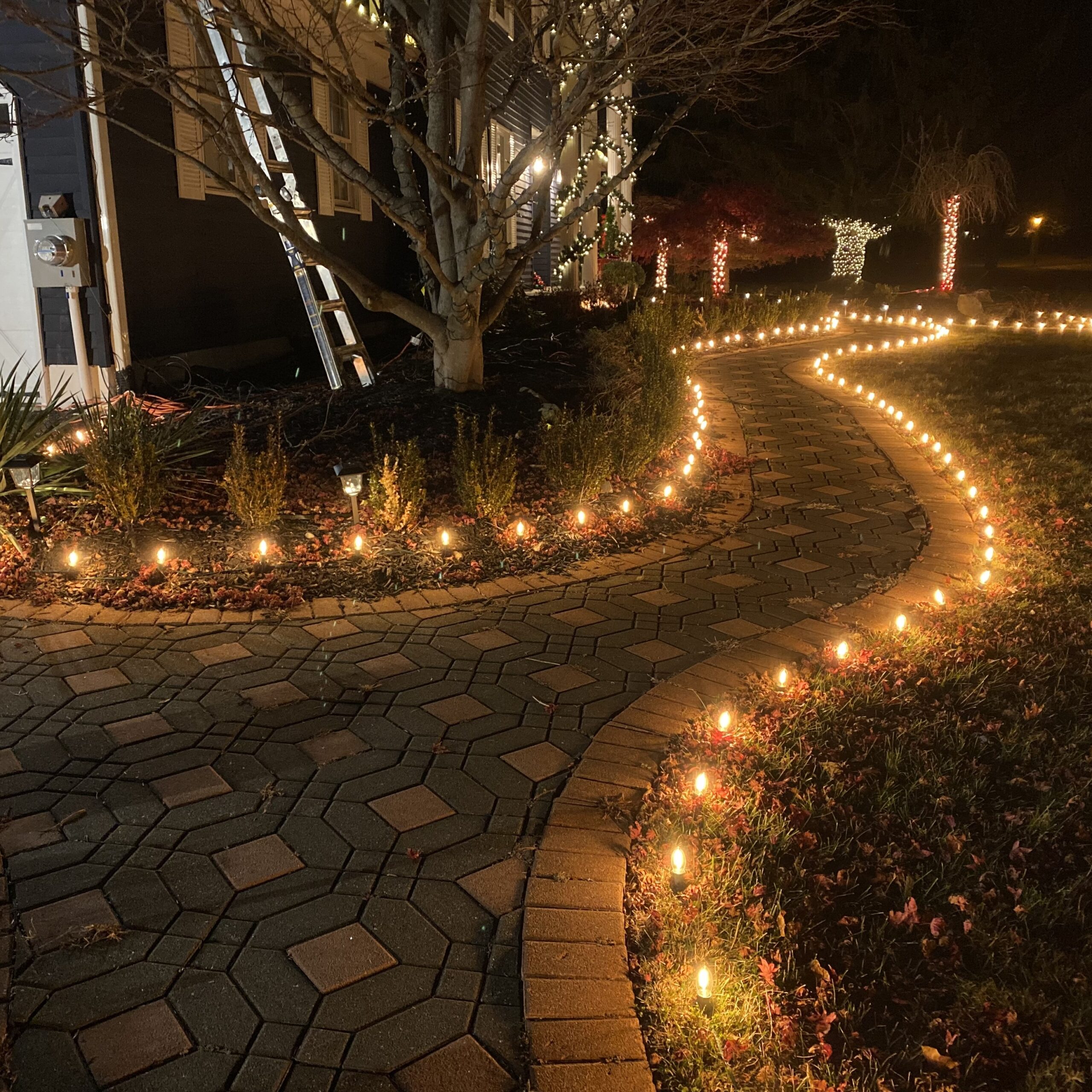 Holiday Lights Decor Roofline Decoration Services