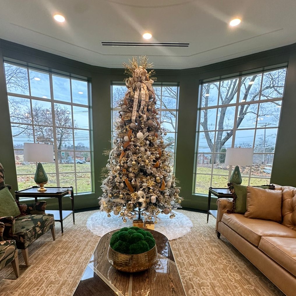 Holiday Lights Decor Roofline Decoration Services